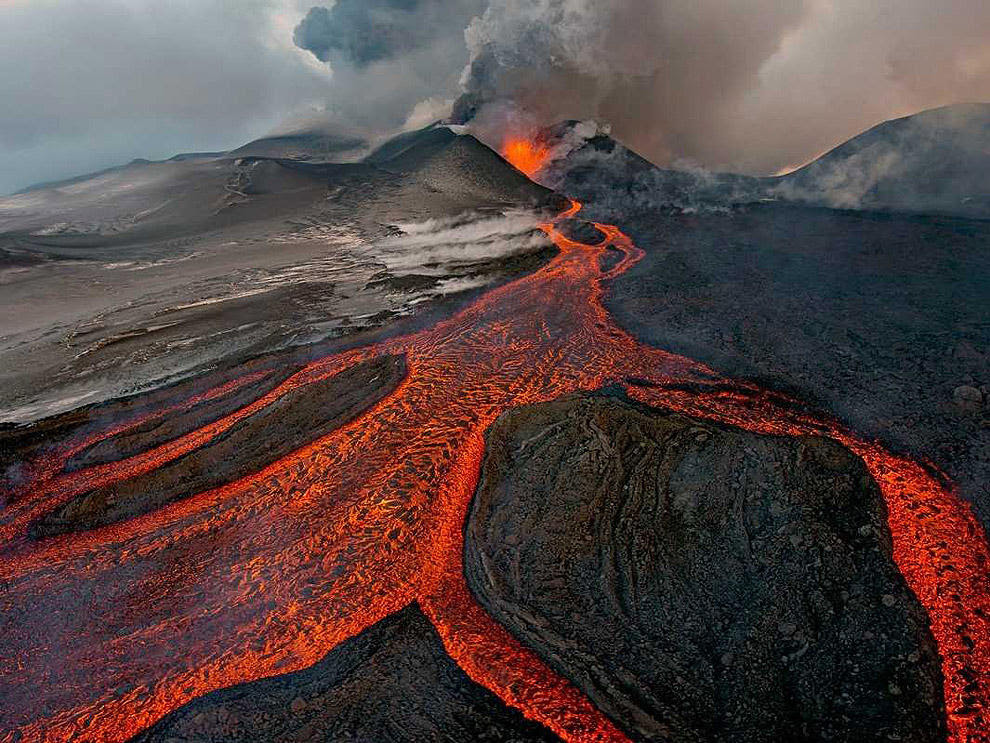 scientific02 most incredible scientific photography outgoing year