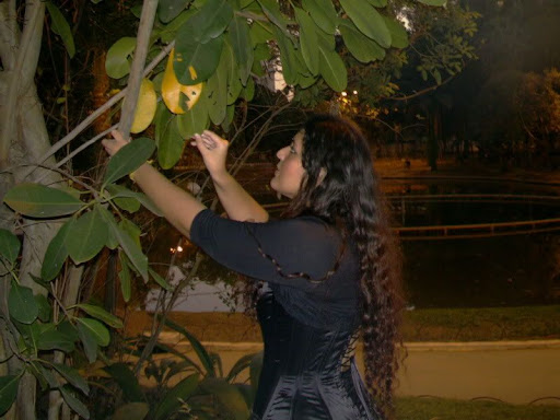Minha foto