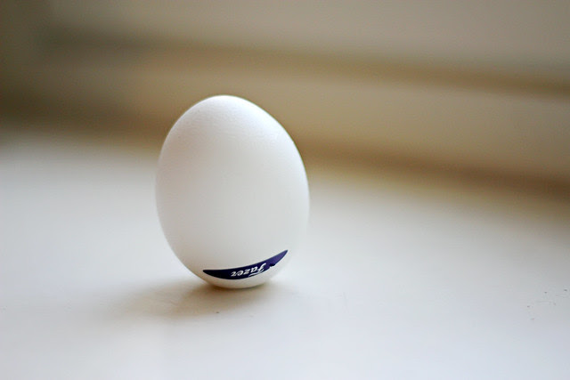 egg shell