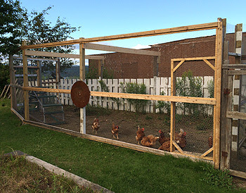 Volière Extérieure Projet à La Basse Cour étapes De Construction