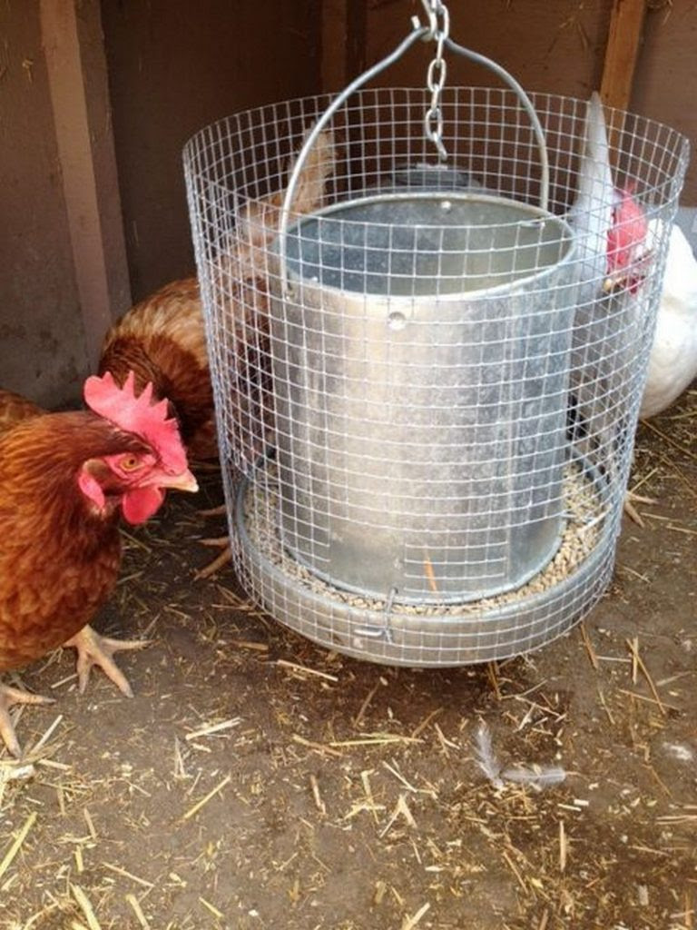 Easy chicken feeder solutions | The Owner-Builder Network