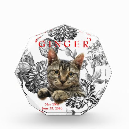 Pet Memorial Keepsake Celebration Of Life Acrylic Award