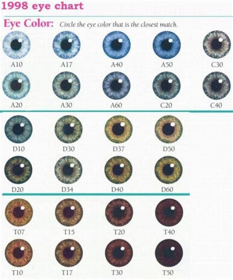 Green eyes are sometimes mistaken for hazel eyes. pin by eamaneeluch on other eye color chart eye color facts eye