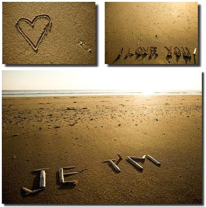  husband/wife, mother/father, brother/sister, dog/cat.