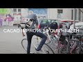 Buy Cacao Powder Online – Cacao Vida