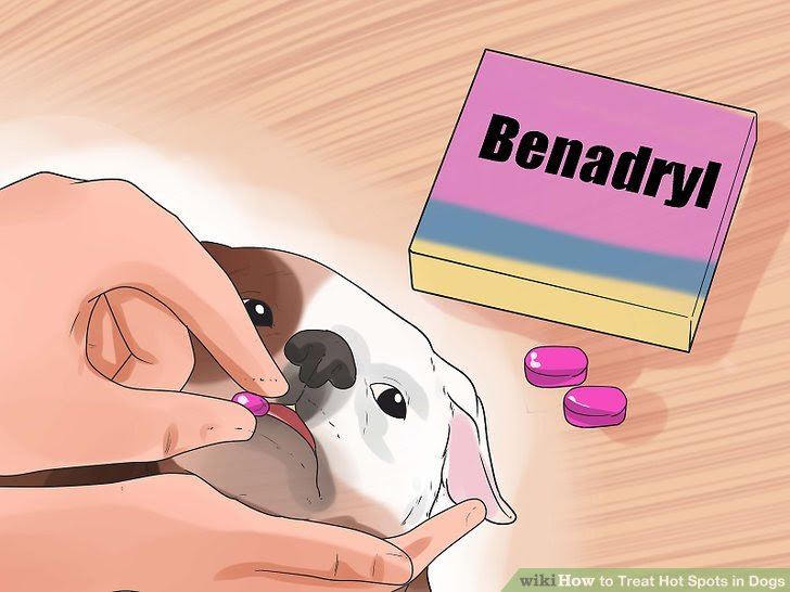 Treat Hot Spots in Dogs Step 13.jpg