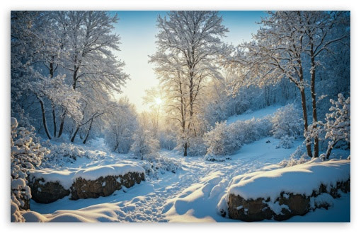 Sunny Winter Day HD wallpaper for Standard 4:3 5:4 Fullscreen UXGA XGA SVGA QSXGA SXGA ; Wide 16:10 5:3 Widescreen WHXGA WQXGA WUXGA WXGA WGA ; HD 16:9 High Definition WQHD QWXGA 1080p 900p 720p QHD nHD ; Other 3:2 DVGA HVGA HQVGA devices ( Apple PowerBook G4 iPhone 4 3G 3GS iPod Touch ) ; Mobile VGA WVGA iPhone iPad PSP Phone - VGA QVGA Smartphone ( PocketPC GPS iPod Zune BlackBerry HTC Samsung LG Nokia Eten Asus ) WVGA WQVGA Smartphone ( HTC Samsung Sony Ericsson LG Vertu MIO ) HVGA Smartphone ( Apple iPhone iPod BlackBerry HTC Samsung Nokia ) Sony PSP Zune HD Zen ; Tablet 2 ;