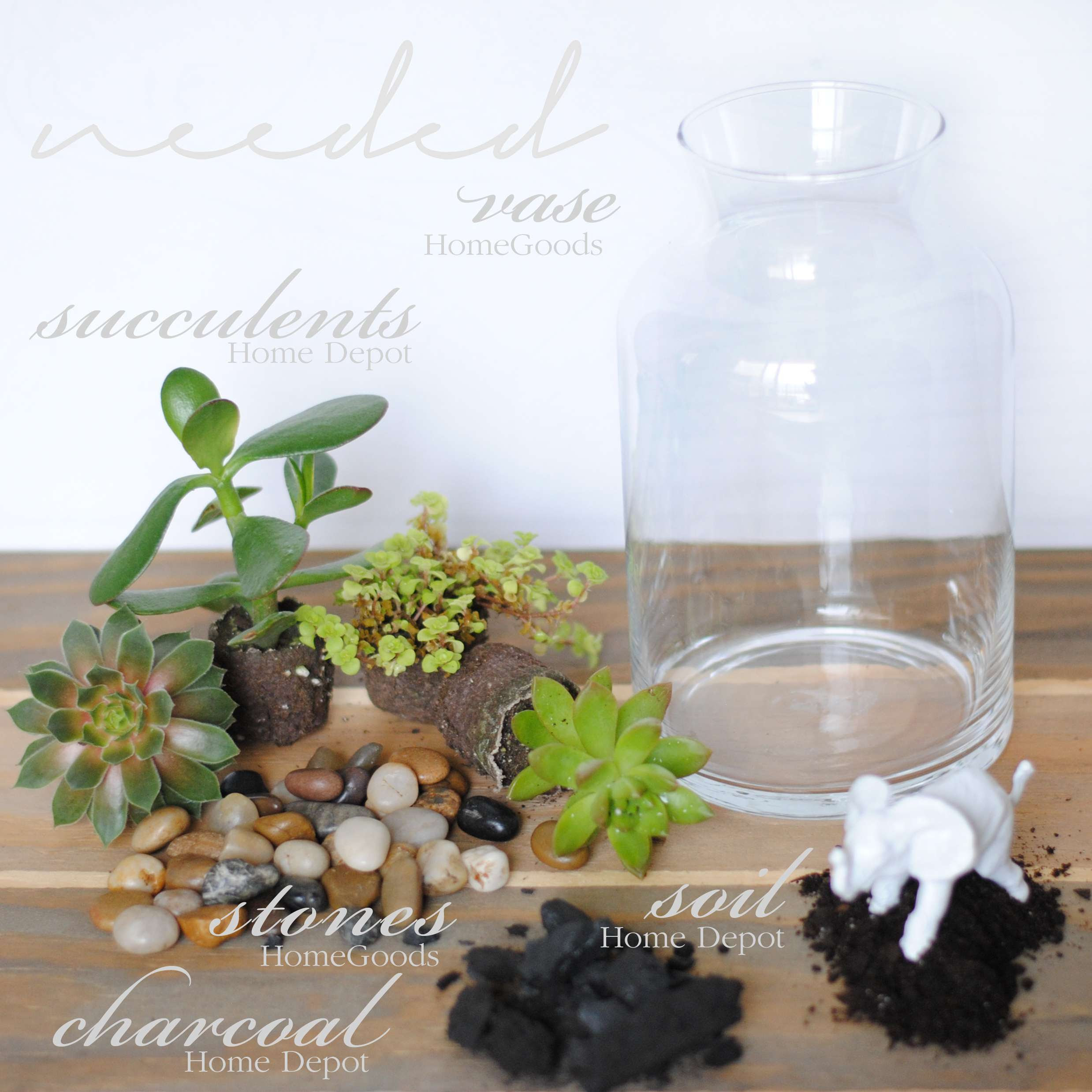 terrarium tutorial succulents materials