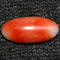 Buy Coral from GemSelect