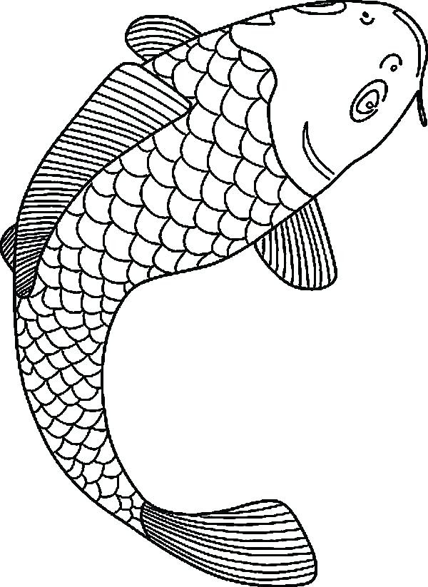 Bass Fish Coloring Pages at GetColorings.com | Free printable colorings