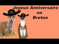 √70 ou plus joyeux anniversaire lama 851113-Joyeux anniversaire lama