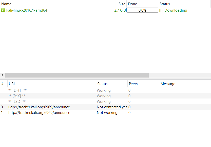 torrent stuck at downloading metadata