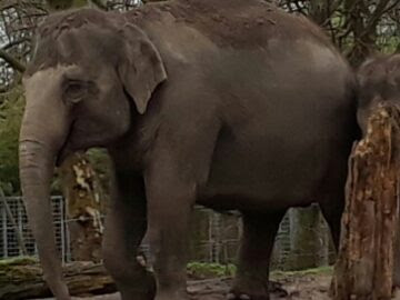 galaxy-a3-2017-camera-samples-37