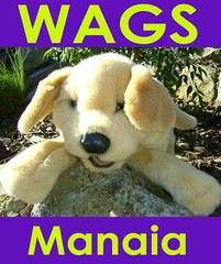 wags manaia