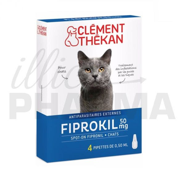 L Essentiel Sur Les Puces Du Chat