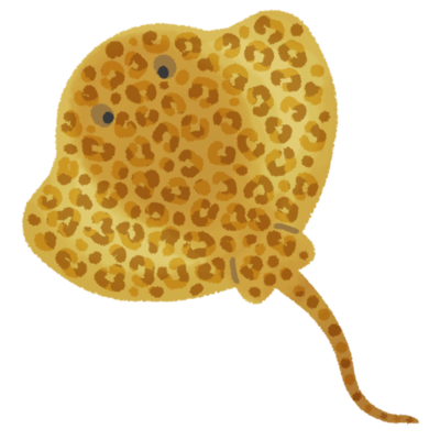 ヒョウモンオトメエイの無料素材 イラスト沖縄 おきなわ