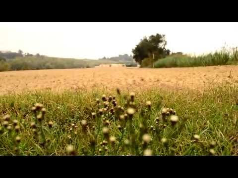 Video test Nikon D3100 + polarizer HOYA - HD1080 by fefethepilot