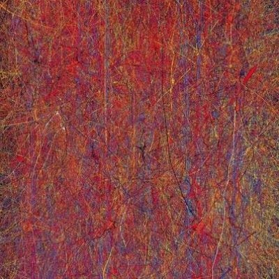 Can we get our heads around consciousness?