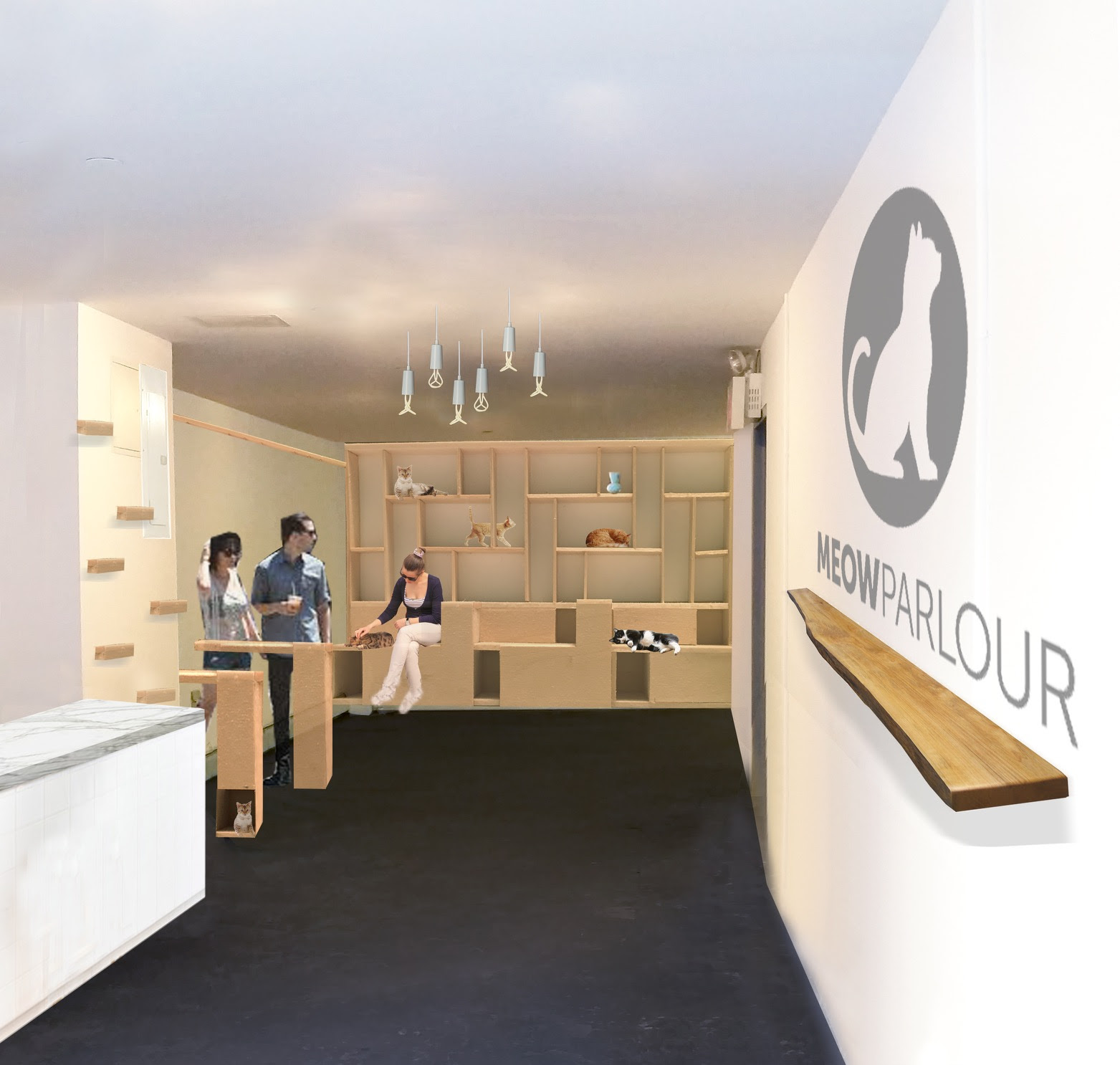  Cat  Cafe  Design  NYC Cat  Cafe  Opening