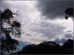 65 Ryosanji iwashigumo clouds sky