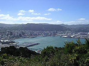 A photo of Wellington taken from the lookout p...