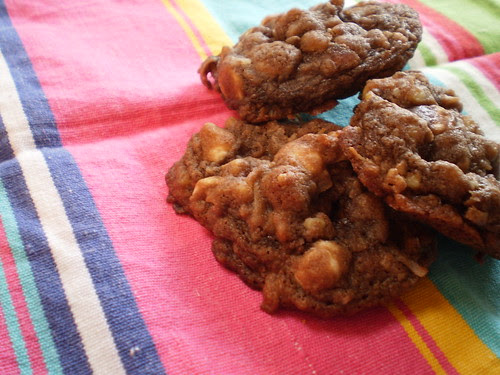 Double Chocolate Coconut Cookies