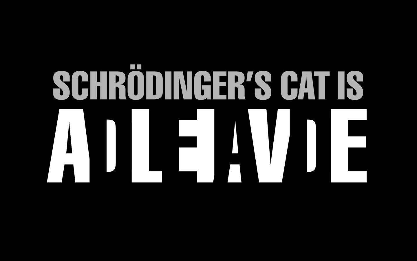 Schrodinger Cat