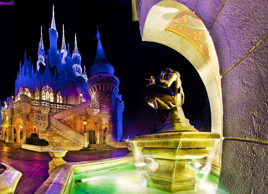 Cinderella & her castle