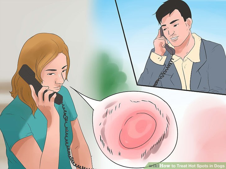 Treat Hot Spots in Dogs Step 5 Version 2.jpg