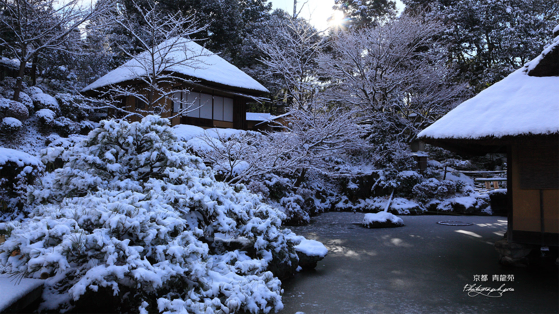 ベストコレクション 雪景色 壁紙 高画質 ただ素晴らしい花