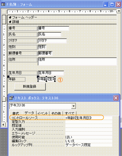 フォームに年齢を表示する方法 コントロールに関数を使う