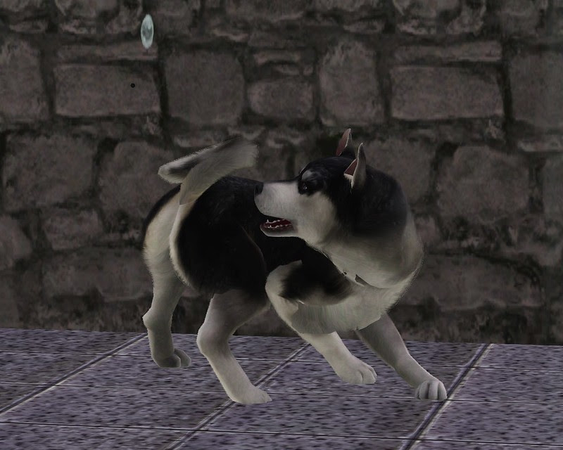 Screenshot-550