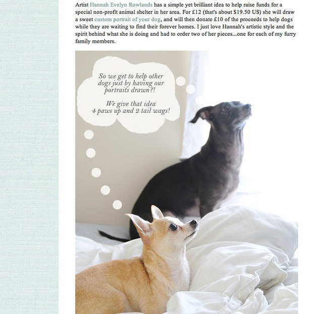Creature Comforts Feature