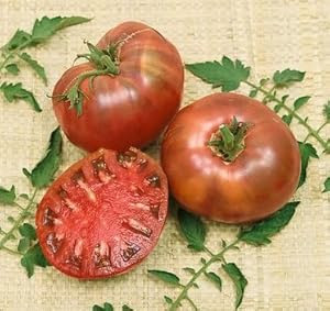 Cherokee Purple Heirloom Tomato Seeds - Lycopersicon Esculentum - 0.25 Grams - Approx 100 Gardening Seeds - Vegetable Garden Seed
