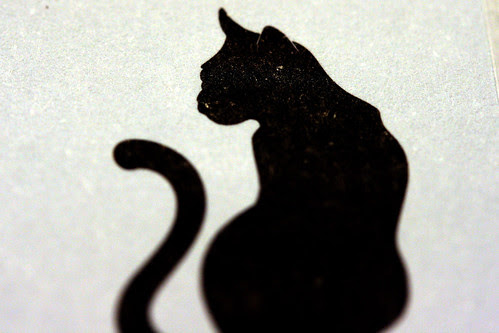 Tom Cat