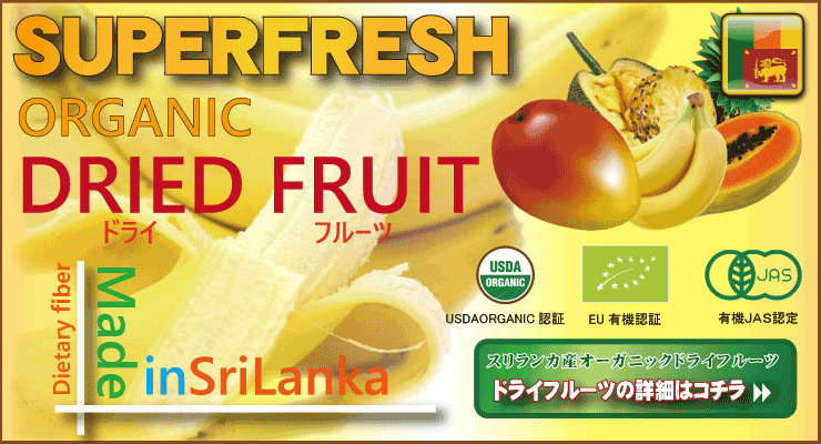 熊本県情報サイトクマみる