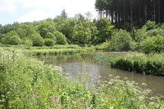 Berry Pomeroy to Paignton 115