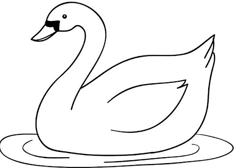 sketsa gambar bebek