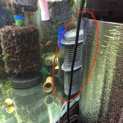 外部フィルターの掃除 適当金魚