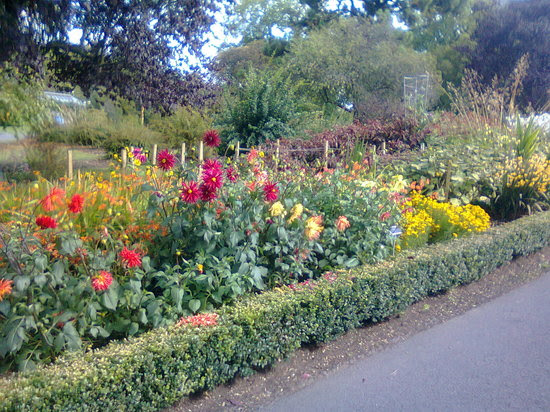 National Botanic Gardens (Dublin, Ireland): Address, Phone ...