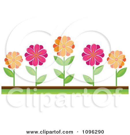 Clipart Pink And Orange Daisies In A Flower Bed - Royalty Free Vector ...
