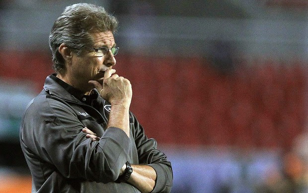 Oswaldo de Oliveira, Botafogo x Palmeiras (Foto: Agência EFE)