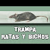 Cómo hacer una trampa para ratas y ratones fácil y efectiva