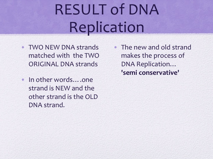 Unit 5 - DNA & Protein Synthesis - Connelly's House