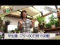 ++ 50 ++ 枝豆 育て方 室内 183109