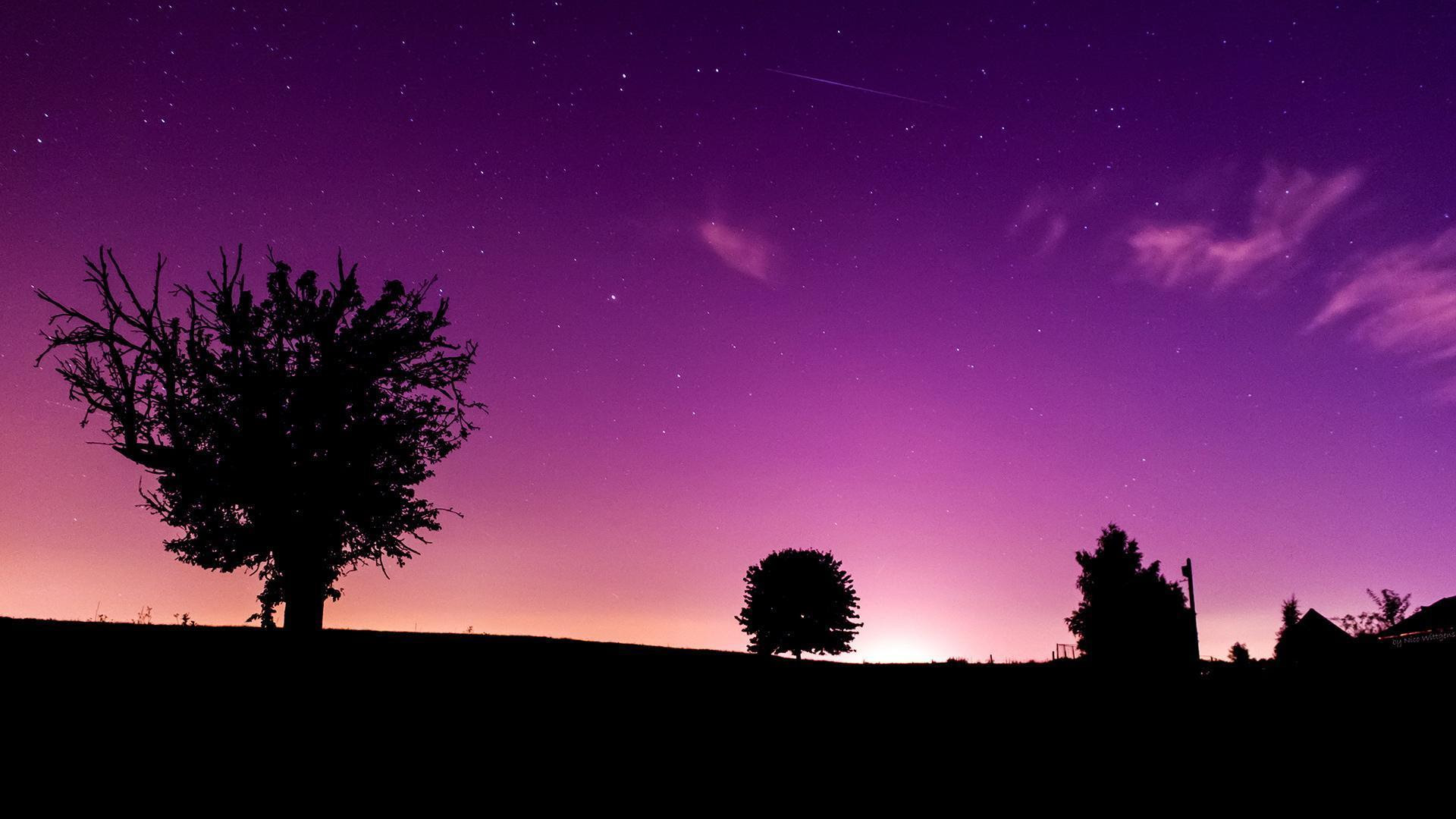 Purple Wallpapers HD - Wallpaper Cave