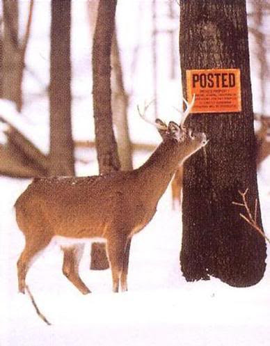 quotes life on daily QuotesGram Funny Whitetail Cartoon. Quotes Buck quotes life on daily QuotesGram Funny Whitetail Cartoon. Quotes Buck
