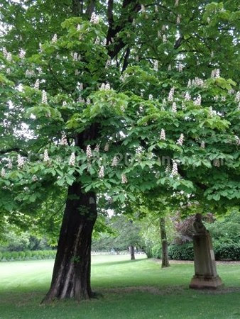 image011
