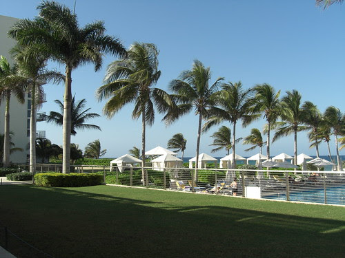 CIMG0244
