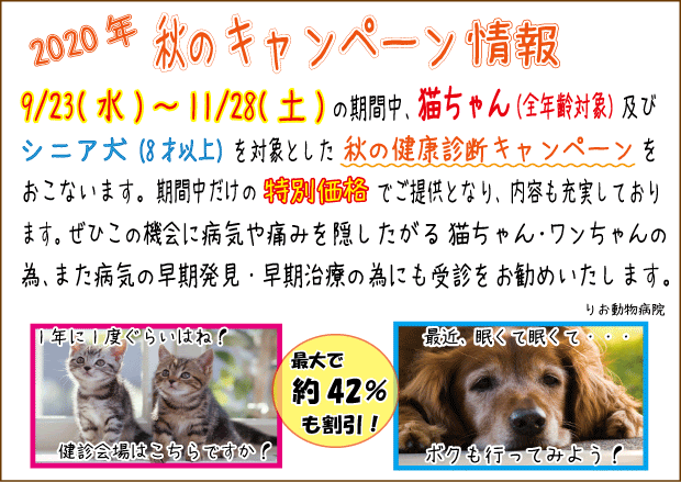 犬の健康診断 タグの記事一覧 葛飾区堀切 りお動物病院